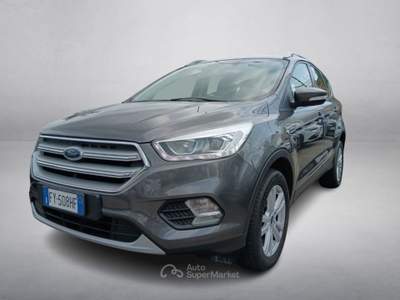 Ford Kuga 2.0 TDCI 120 CV S&S 2WD Powershift Business Grigio usata Oderzo