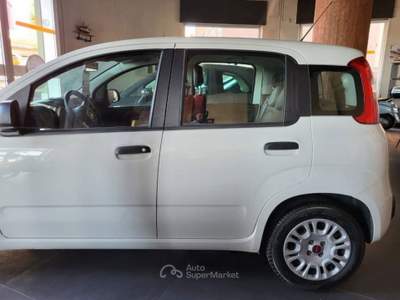 Fiat Panda 1.3 mjt 16v Lounge s&s 95cv Bianco usata Cagliari