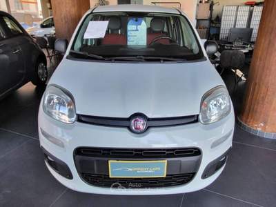 Fiat Panda 1.3 mjt 16v Lounge s&s 95cv Bianco usata Cagliari