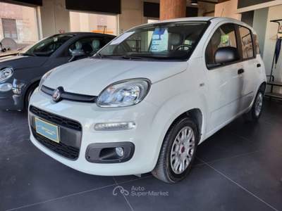 Fiat Panda 1.3 mjt 16v Lounge s&s 95cv Bianco usata Cagliari