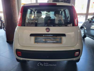 Fiat Panda 1.3 mjt 16v Lounge s&s 95cv Bianco usata Cagliari
