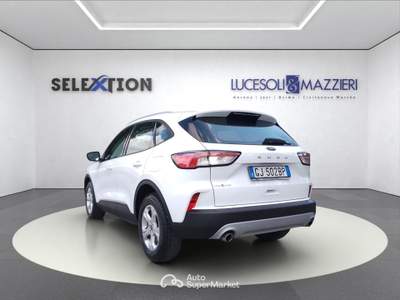 Ford Kuga  - kuga 1.5 ecoblue 120 cv 2wd connect Bianco usata Ancona