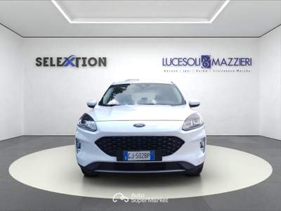 Ford Kuga  - kuga 1.5 ecoblue 120 cv 2wd connect Bianco usata Ancona