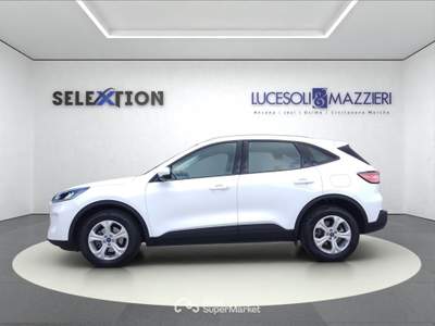 Ford Kuga  - kuga 1.5 ecoblue 120 cv 2wd connect Bianco usata Ancona