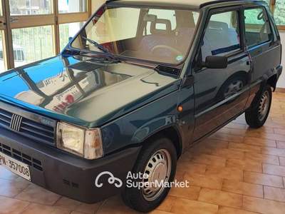 Fiat Panda Selecta automatica Verde usata Montesano sulla Marcellana