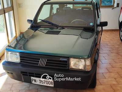Fiat Panda Selecta automatica Verde usata Montesano sulla Marcellana