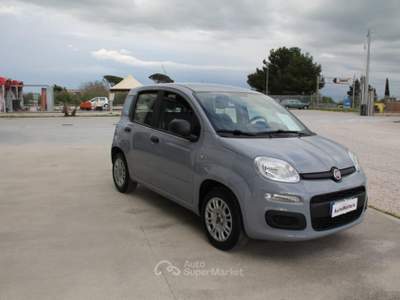 Fiat Panda 1.2 Pop Grigio usata TROIA