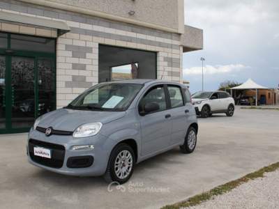 Fiat Panda 1.2 Pop Grigio usata TROIA