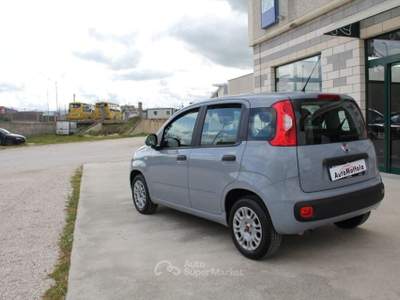 Fiat Panda 1.2 Pop Grigio usata TROIA