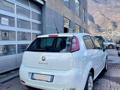 Fiat Punto OK NEOPATENTATI ottima 5 porte Bianco usata Ardenno