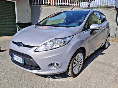 Ford Fiesta Ford Fiesta 1.4 TDCi 70 CV  Grigio usata Castelletto Cervo