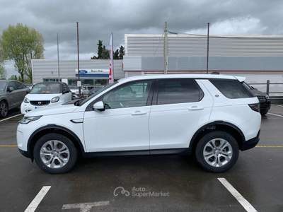Land Rover Discovery Sport Discovery Sport 2.0 TD4 150CV SE Bianco usata Massarosa