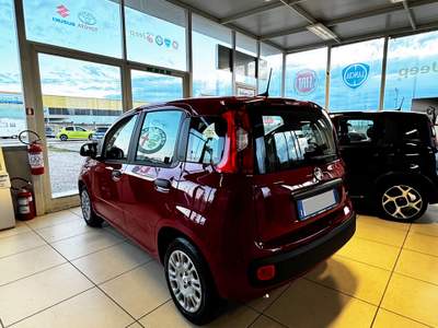 Fiat Panda Km0 full optionals con Pack City e kit 5 posti Rosso usata FAGGIANO