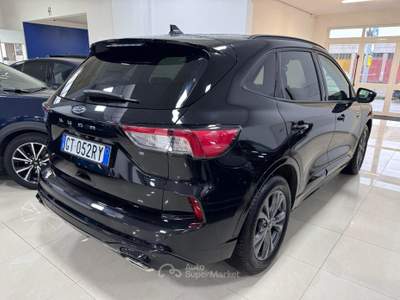 Ford Kuga 2.0 EcoBlue 120 CV aut. 2WD ST-Line Nero usata Medesano