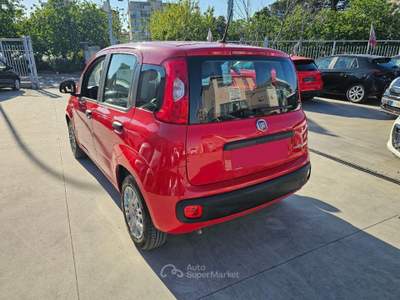Fiat Panda  1.0 hybrid s&s 70cv usata Aversa