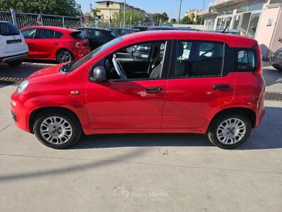 Fiat Panda  1.0 hybrid s&s 70cv usata Aversa