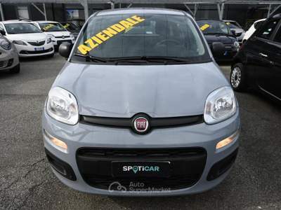 Fiat Panda 1.0 Firefly S&S Hybrid Easy Grigio usata Frosinone