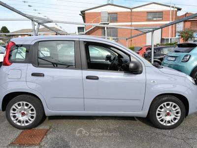 Fiat Panda 1.0 Firefly S&S Hybrid Easy Grigio usata Frosinone