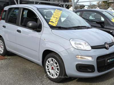 Fiat Panda 1.0 Firefly S&S Hybrid Easy Grigio usata Frosinone