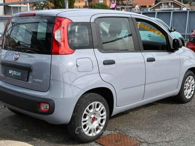 Fiat Panda 1.0 Firefly S&S Hybrid Easy Grigio usata Frosinone
