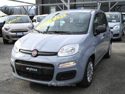 Fiat Panda 1.0 Firefly S&S Hybrid Easy Grigio usata Frosinone