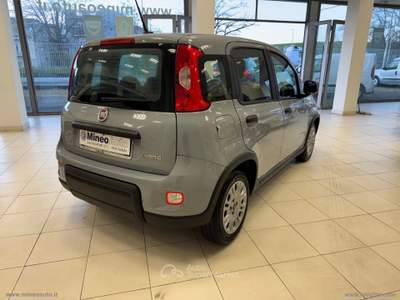 Fiat Panda Panda 1.0 FireFly S&S Hybrid City Life Grigio usata Caltagirone