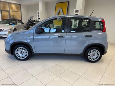 Fiat Panda Panda 1.0 FireFly S&S Hybrid City Life Grigio usata Caltagirone