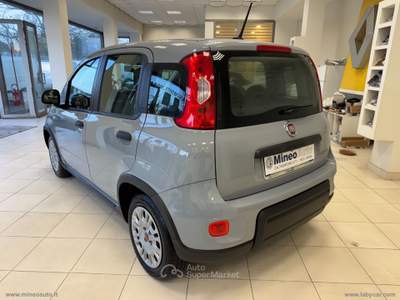 Fiat Panda Panda 1.0 FireFly S&S Hybrid City Life Grigio usata Caltagirone