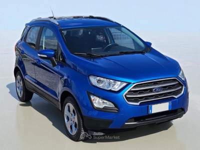 Ford EcoSport 1.0 EcoBoost 100 CV Business Blu/Azzurro usata Cassacco