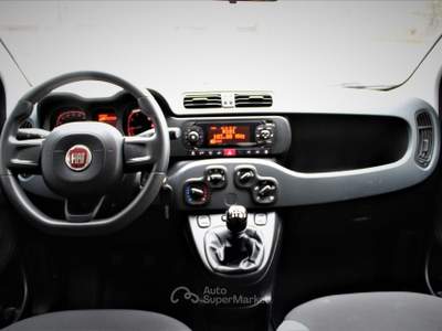 Fiat Panda Easy Bianco usata Lavis