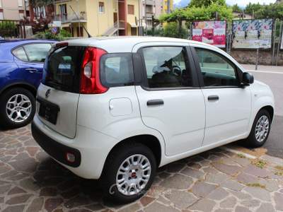 Fiat Panda Easy Bianco usata Lavis