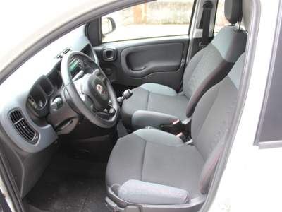 Fiat Panda Easy Bianco usata Lavis