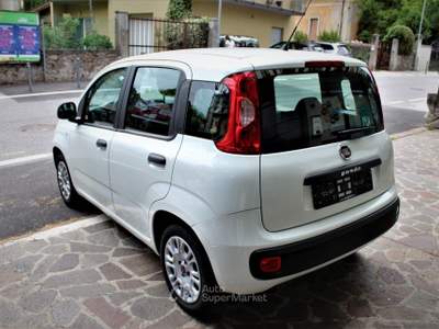 Fiat Panda Easy Bianco usata Lavis