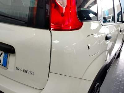 Fiat Panda 1.0 Hybrid City Cross MY22 Bianco usata Cesena