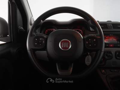 Fiat Panda Panda 1.0 FireFly Hybrid City Life Bianco usata Verona
