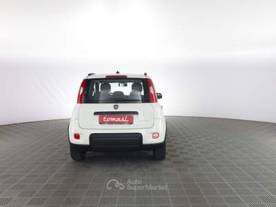 Fiat Panda Panda 1.0 FireFly Hybrid City Life Bianco usata Verona