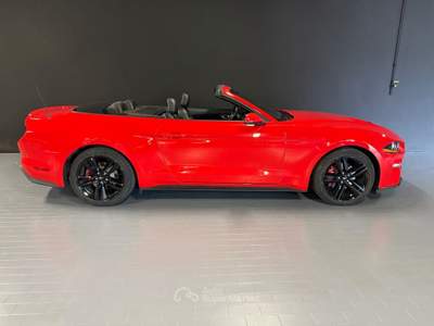 Ford Mustang Cabrio 2.3 NO SUPERBOLLO Rosso usata Bruino