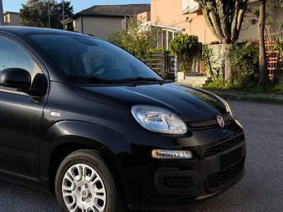 Fiat Panda FIAT Panda 1.0 FireFly Mild Hybrid 70 CV Euro 6e – 2025 Nero usata Gioia Tauro