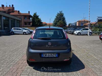 Fiat Punto 1.2 8V 5 porte Young Grigio usata Arcore