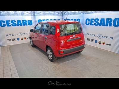 Fiat Pandina 1.0 firefly hybrid Pop s&s 65cv Rosso usata Pont-Saint-Martin