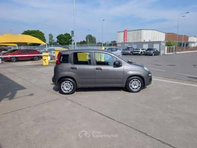 Fiat Panda 1.0 FireFly S&S Hybrid 5POSTI - OK NEOPATENTATI Grigio usata Cremosano
