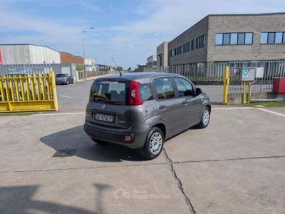 Fiat Panda 1.0 FireFly S&S Hybrid 5POSTI - OK NEOPATENTATI Grigio usata Cremosano