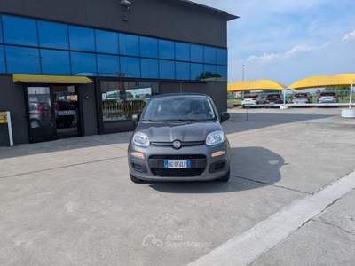 Fiat Panda 1.0 FireFly S&S Hybrid 5POSTI - OK NEOPATENTATI Grigio usata Cremosano