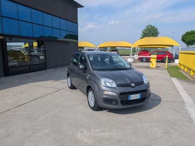 Fiat Panda 1.0 FireFly S&S Hybrid 5POSTI - OK NEOPATENTATI Grigio usata Cremosano