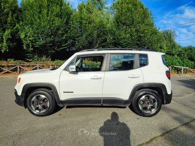 Jeep Renegade 1.4 T-Jet GPL Bianco usata TORINO