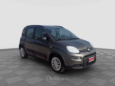 Fiat Panda Panda 1.0 FireFly Hybrid City Life Grigio usata Parma