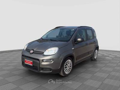 Fiat Panda Panda 1.0 FireFly Hybrid City Life Grigio usata Parma