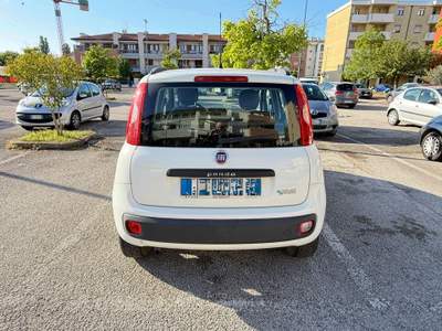 Fiat Panda Non fumatore, unico proprietario, mai incidenti Bianco usata Ravenna