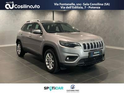 Jeep Cherokee 2.2 Mjt AWD Active Drive I Longitude 195 Cv Grigio usata Sala Consilina