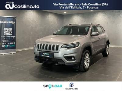 Jeep Cherokee 2.2 Mjt AWD Active Drive I Longitude 195 Cv Grigio usata Sala Consilina